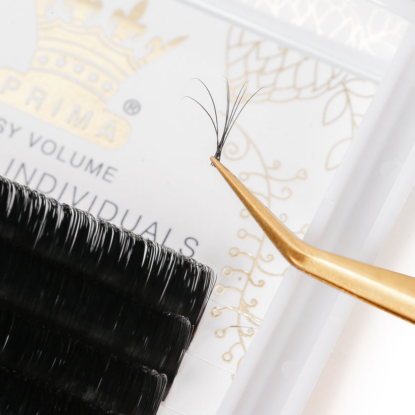 A Step-by-Step Guide to the Eyelash Extension Application Process