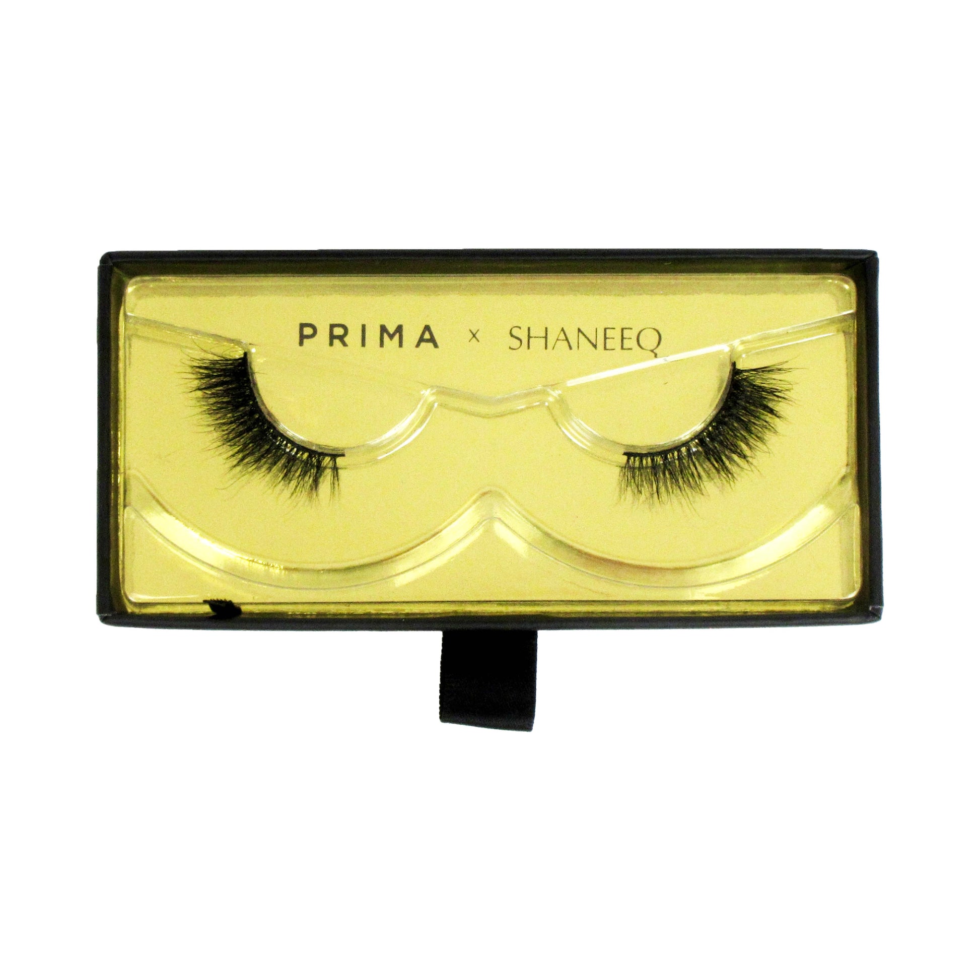 shaneeq x prima lash style