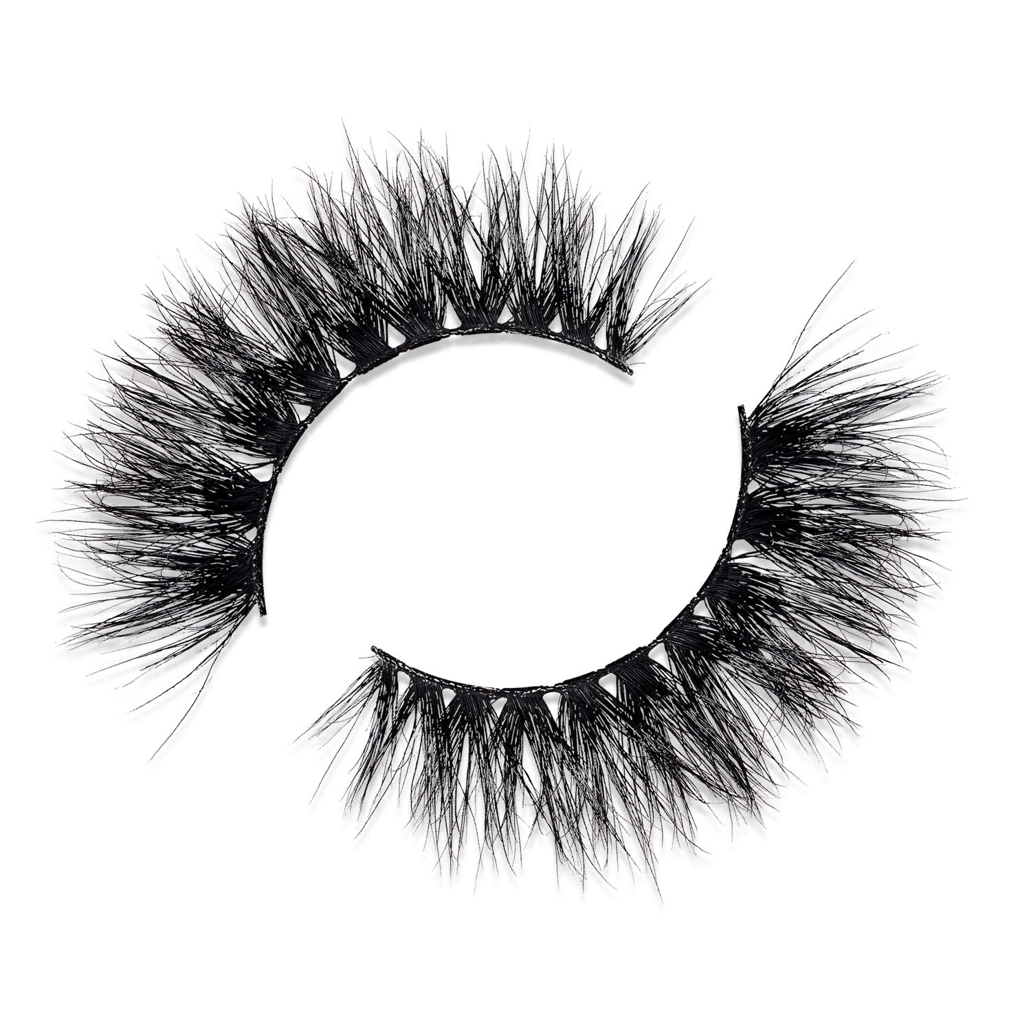 Jess Evans X  Prima Luxury Mink Lashes #Discipline