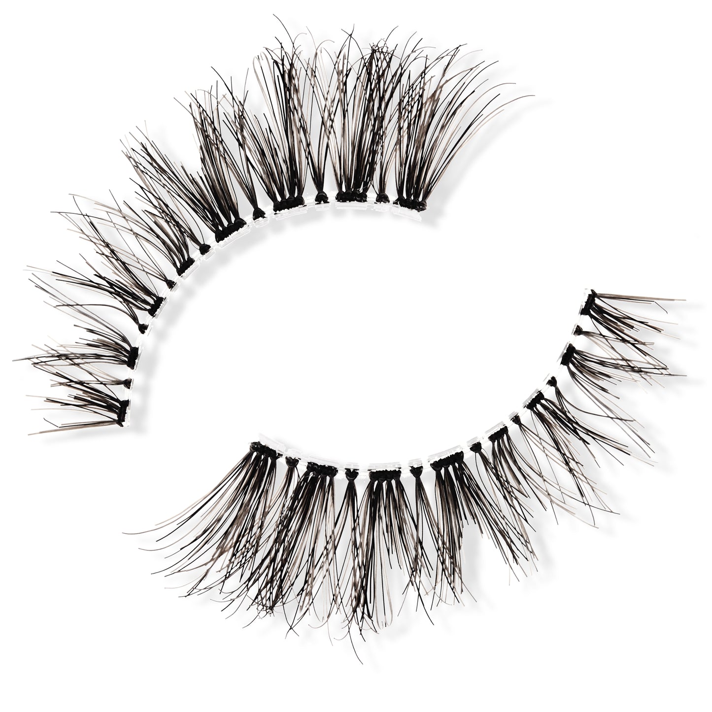 KATIE DALEY FOR PRIMALASH HUMAN HAIR LASH #THE KYLIE